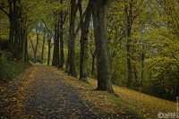 Herbst-Farben-2025-1