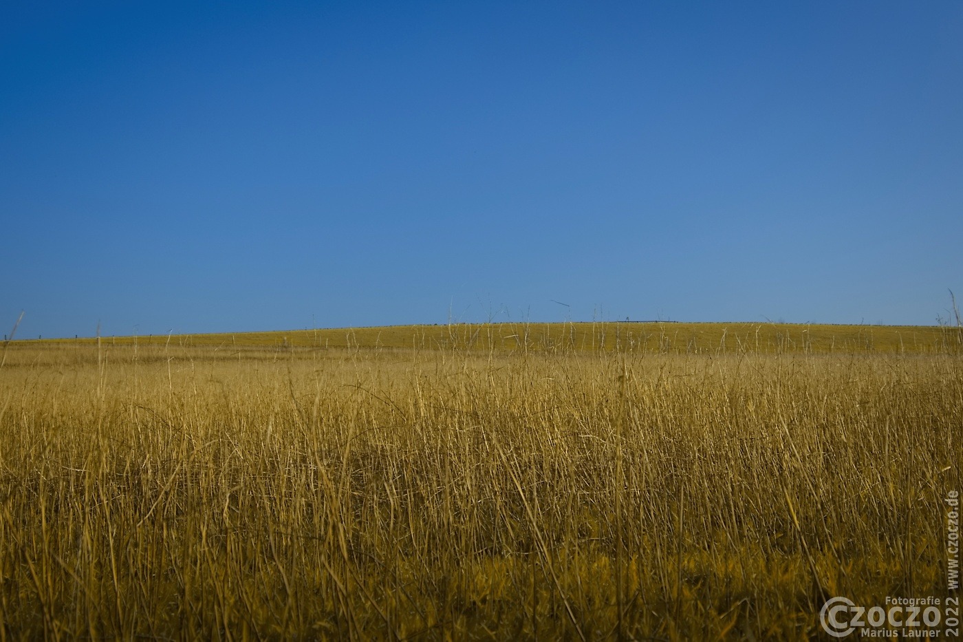 20220304-_A1A5347C-ON1-Ukraina.jpg