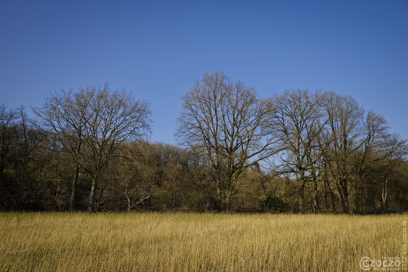 20220304-_A1A5354-ON1-Landschaft.jpg