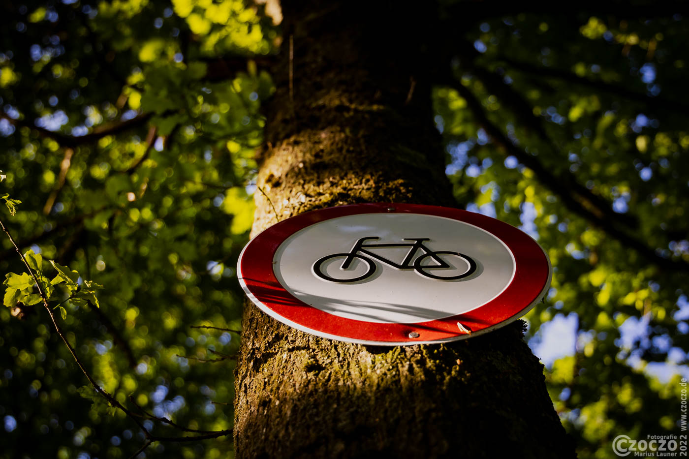 20220518-9A1A7323-LR-Kein-Fahrrad.jpg