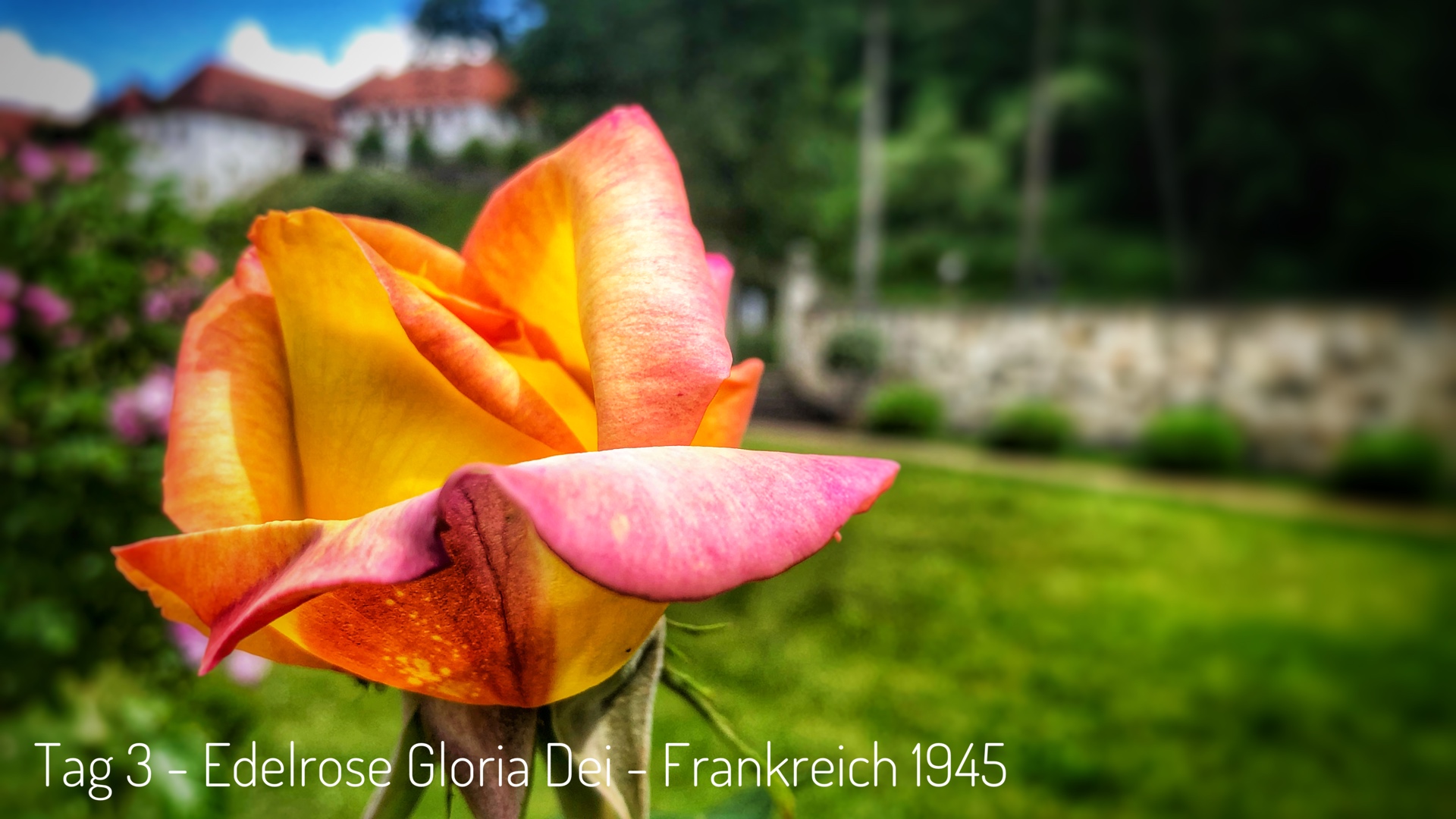 D06058AD-1C32-4694-876E-75C365F09FB4.jpeg