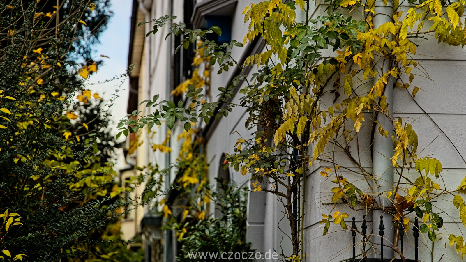 20231120-9A1A3475-Toelleturm.jpg