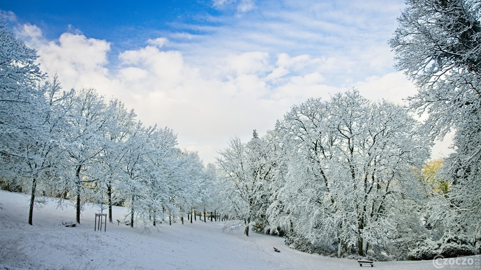 20240116-9A1A0051-Barmer-Anlagen-Winter.jpg