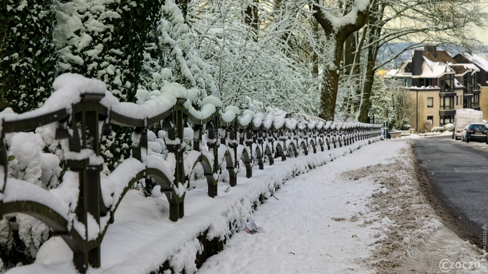 20240116-9A1A0076-Winter.jpg