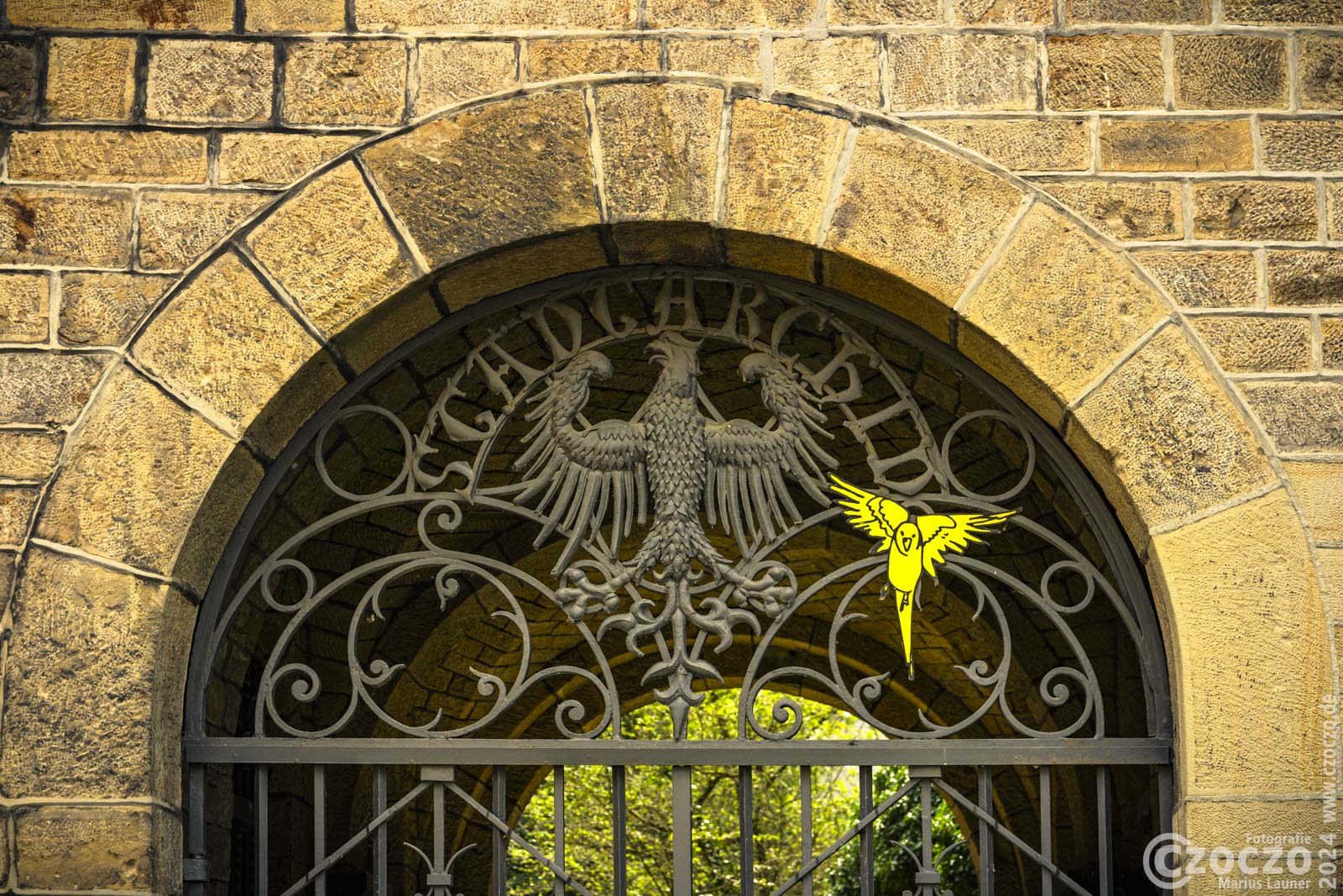 20240720-9A1A1135-Stadtarchiv.jpg