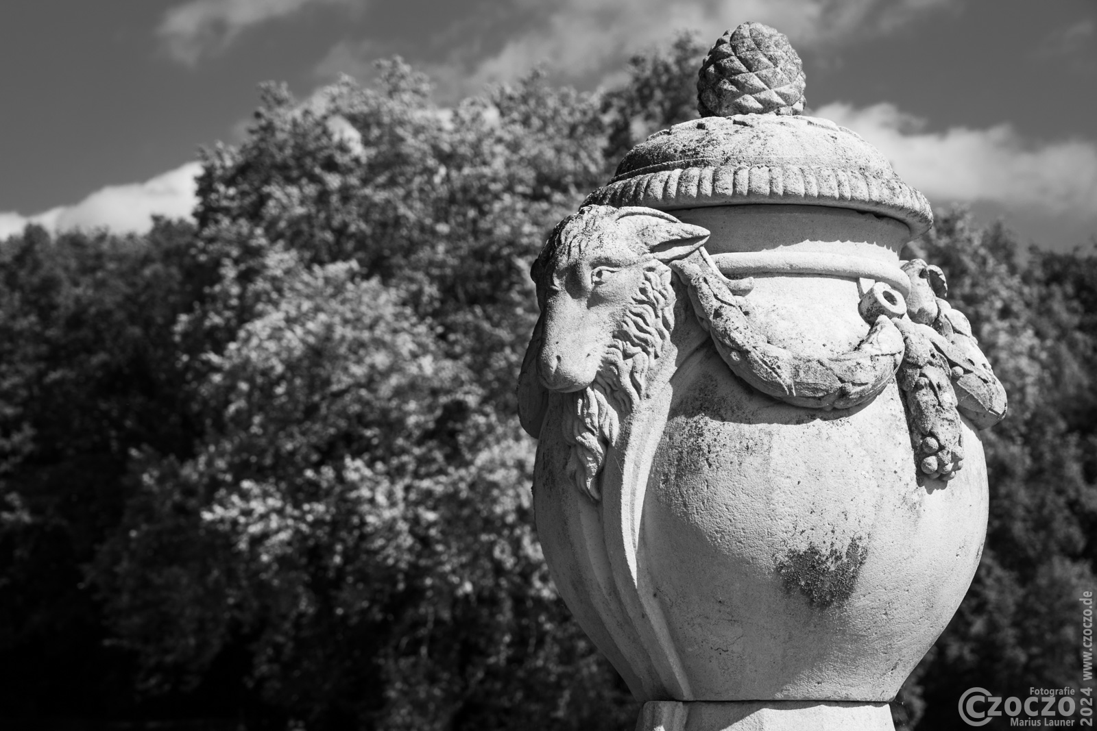 20240824-9A1A1184-BW-September.jpg