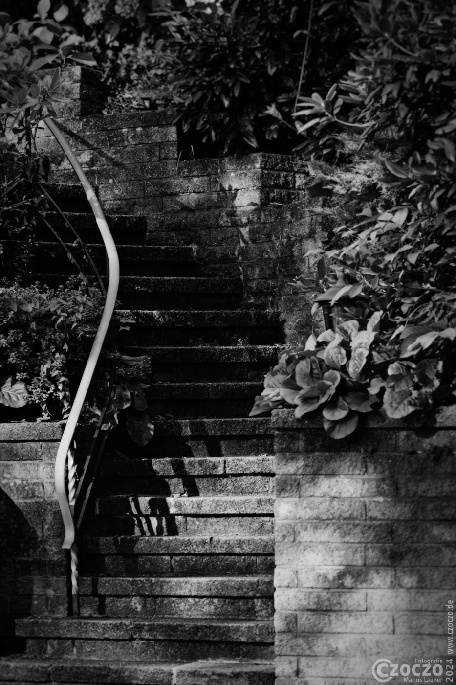 20240901-9A1A1230-Treppen.jpg