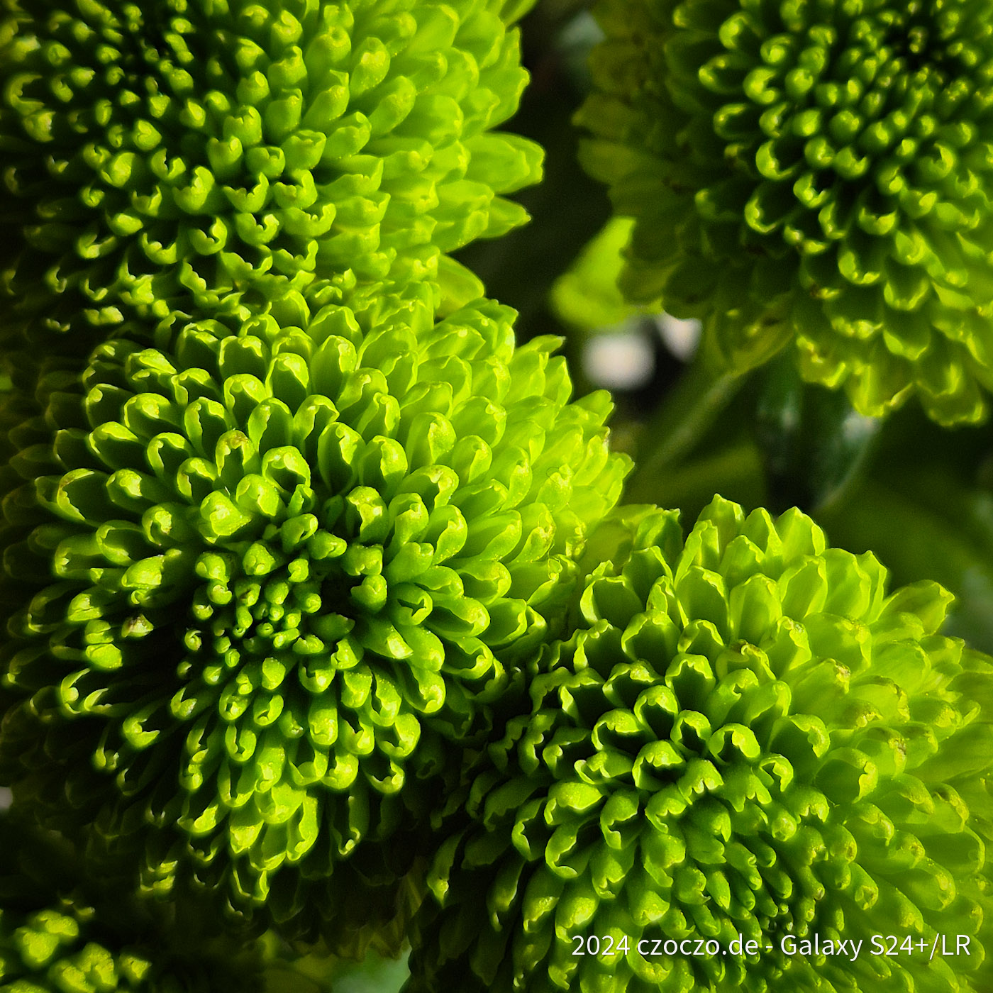 20241026_144158-1.jpg