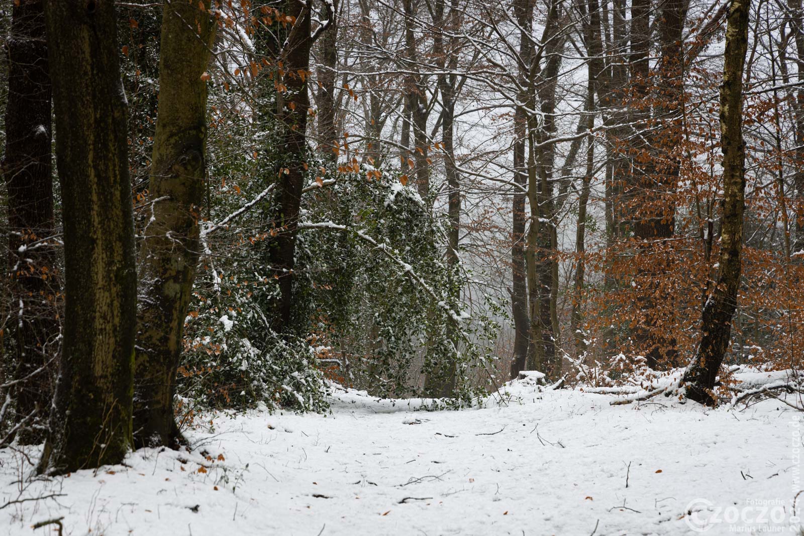 20250111-9A1A2376-Winter-eben.jpg