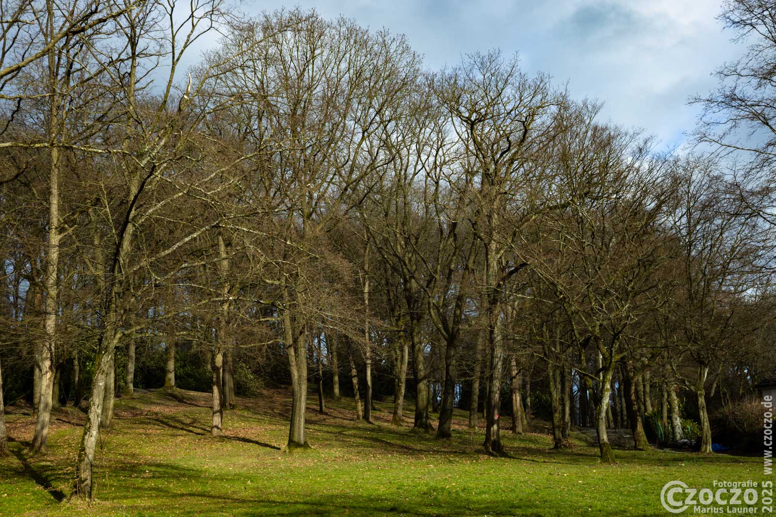 20250128-9A1A2555-Nordpark-im-Januar2025.jpg