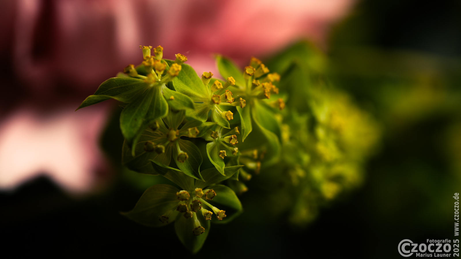 20250219-9A1A2640-Nature-Thursday-8.jpg