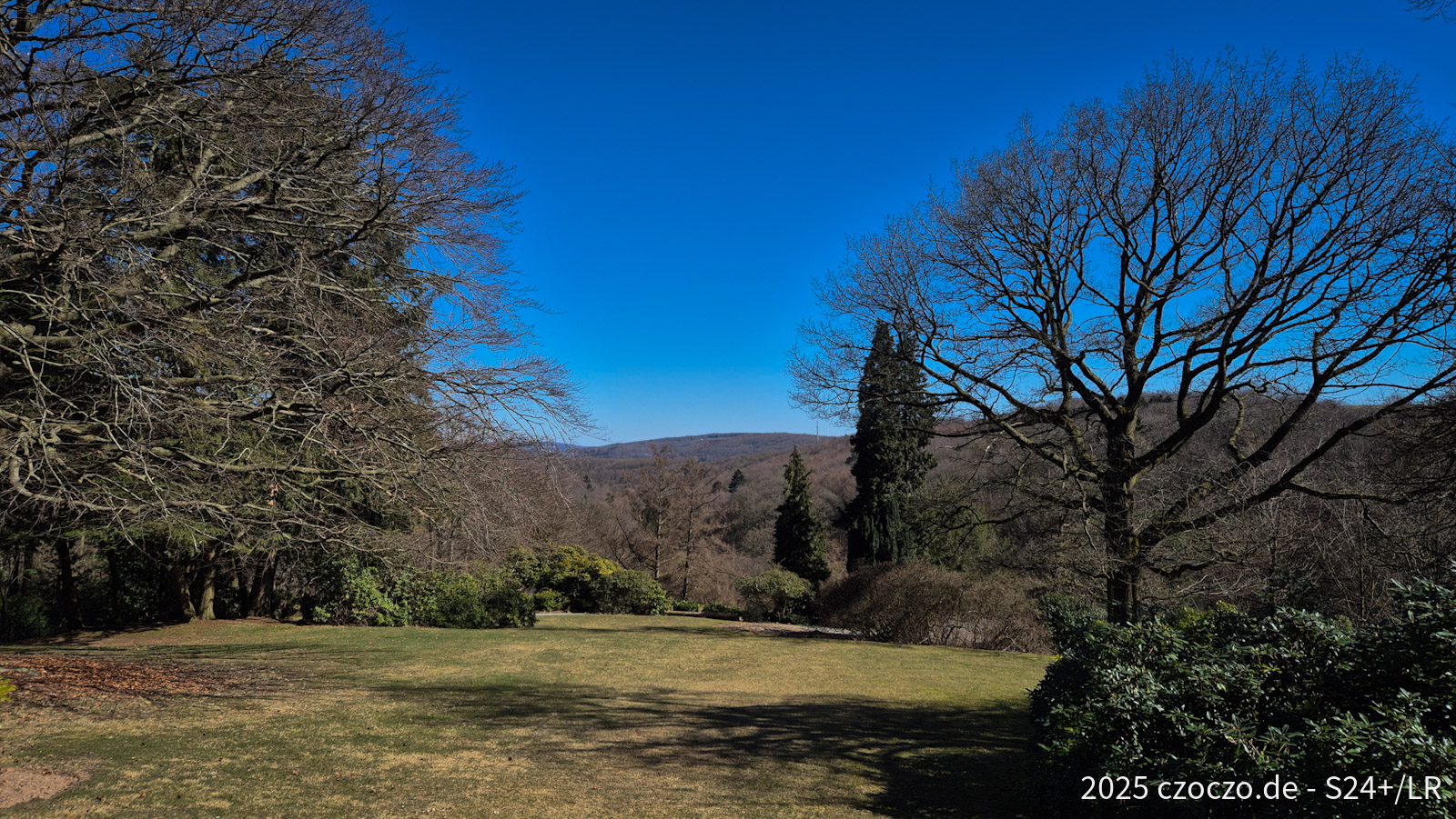 20250318_122923-3.jpg