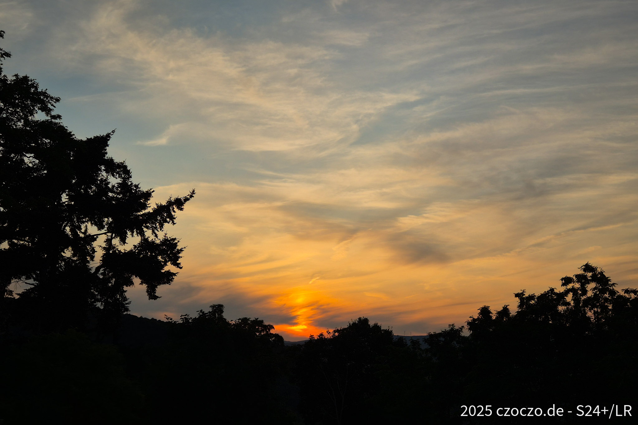 20250620_211646.jpg