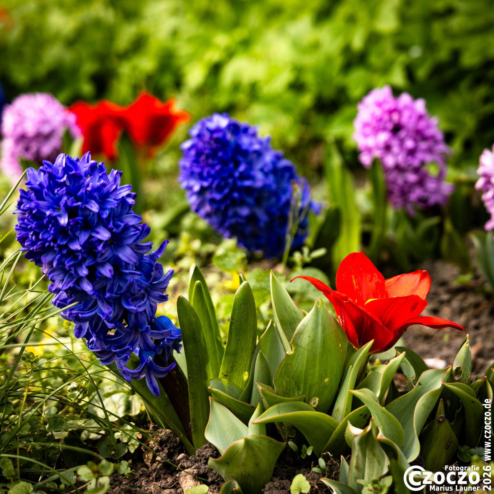 20260323-9A1A6929-Nature-Thursday2026-13.jpg