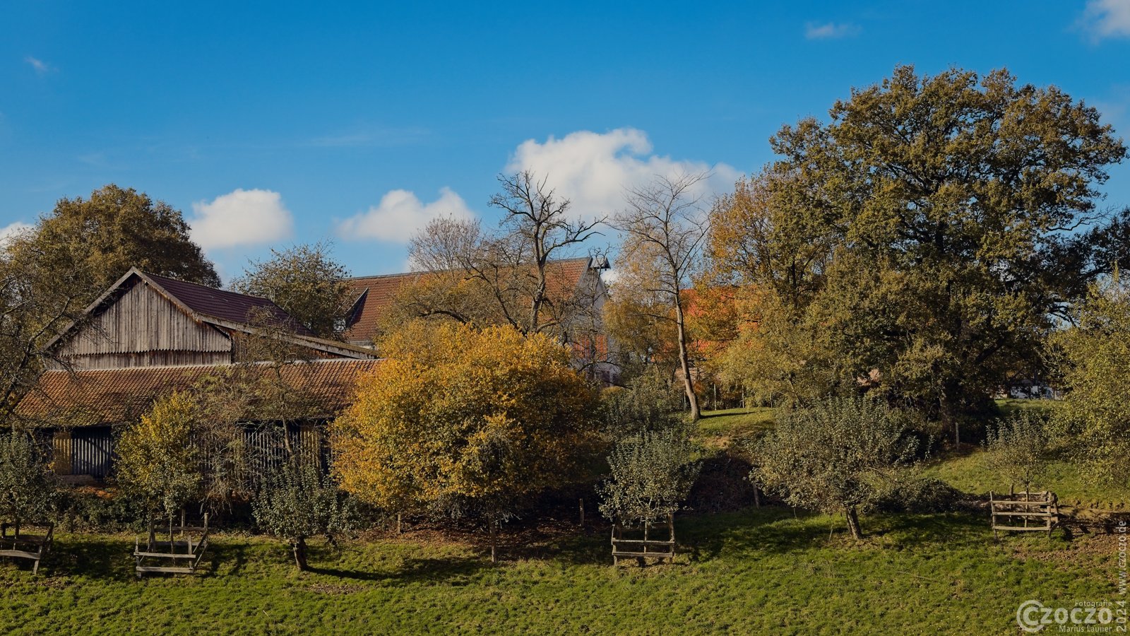 1_20241023-9A1A1646-Herbst.jpg