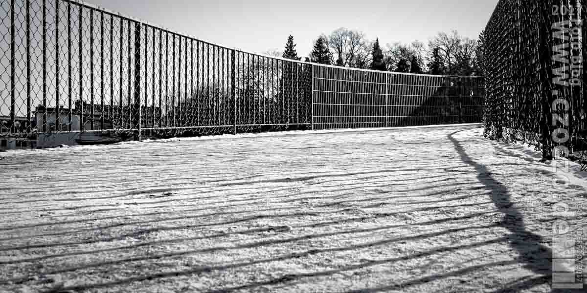 20170126-IMG_9080-Schaten.jpg