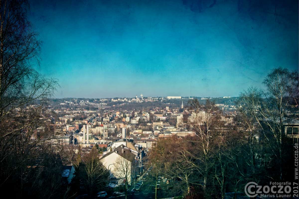 20170126-IMG_9115-Winter-day-by-W-Barmen.jpg