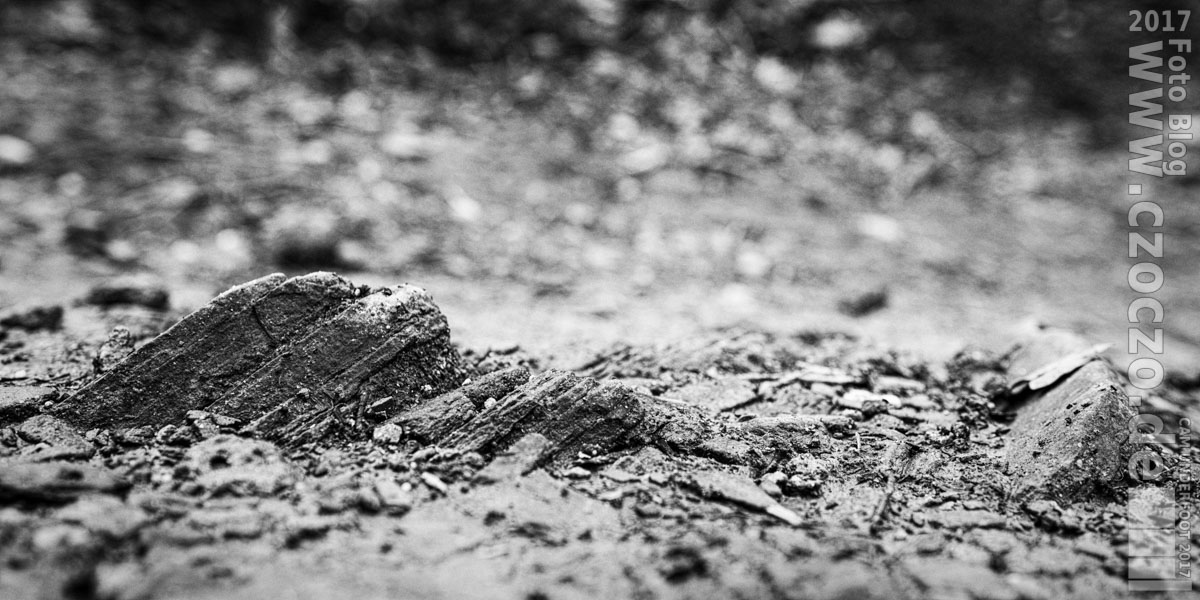 20170320-_MG_1558-Felsen.jpg