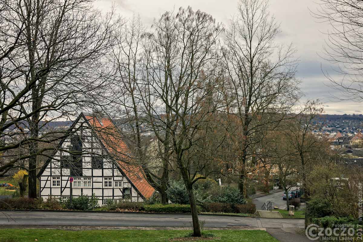 20170320-_MG_1567-Frueling-kommt.jpg