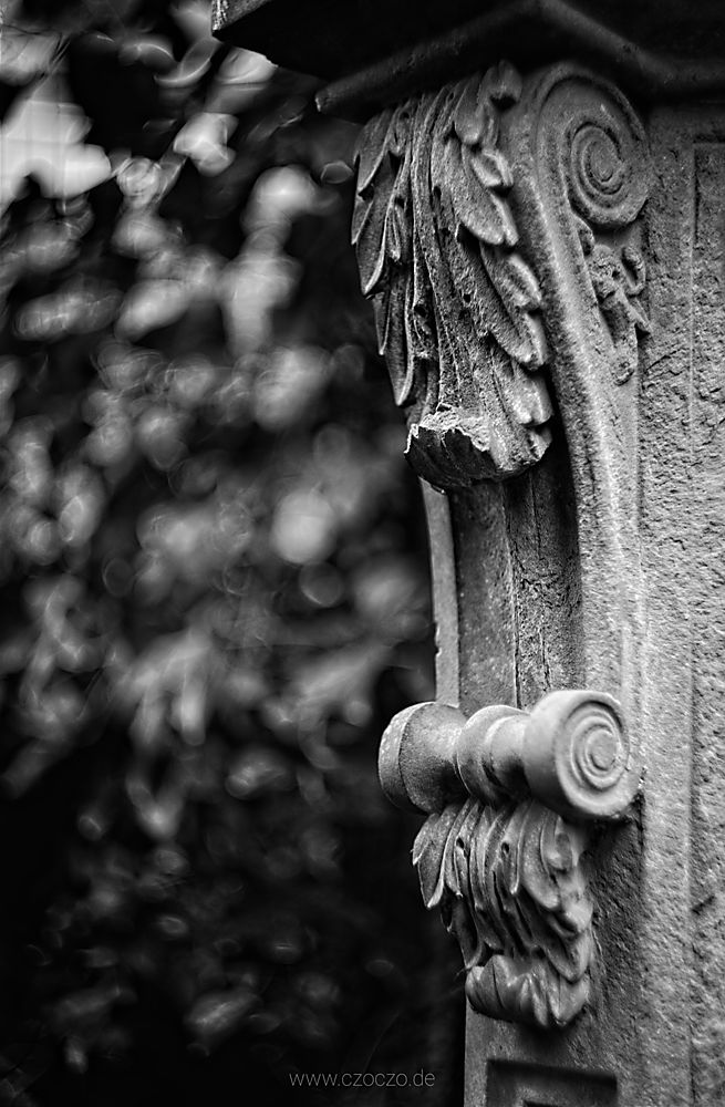 2022-01-29-_A1A4737-BW.jpg