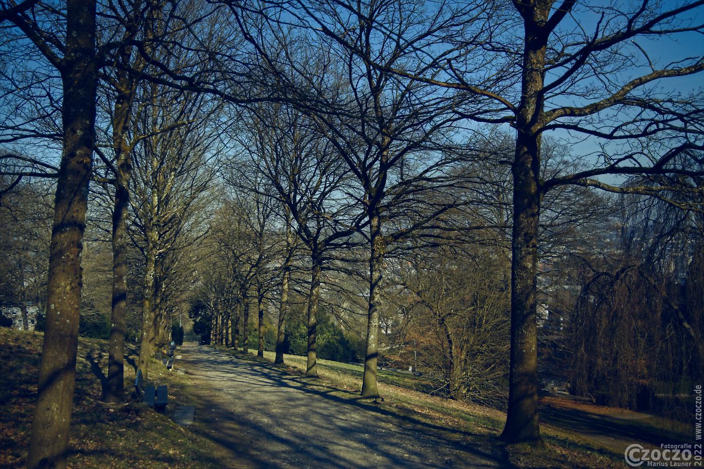 20220310-_A1A5477-ON1-Barmer-Anlagen-Allee2.jpg