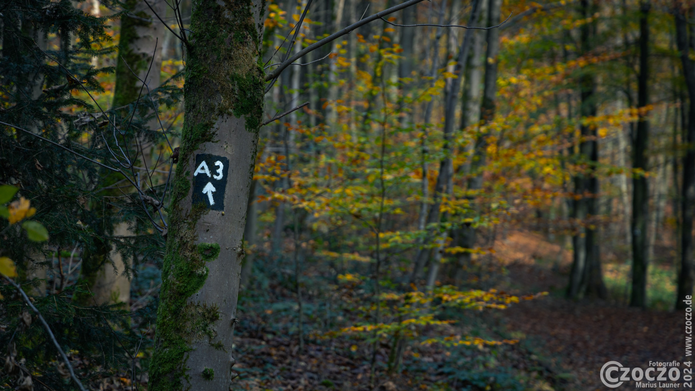 20241105-9A1A1757-Wandern-Ronsdorfertalsperre-A3.jpg