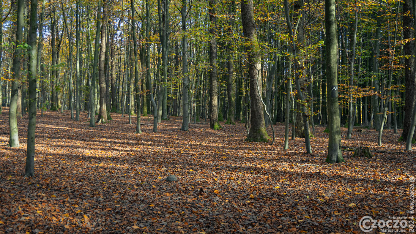 20241105-9A1A1760-Wandern-Ronsdorfertalsperre-A3.jpg