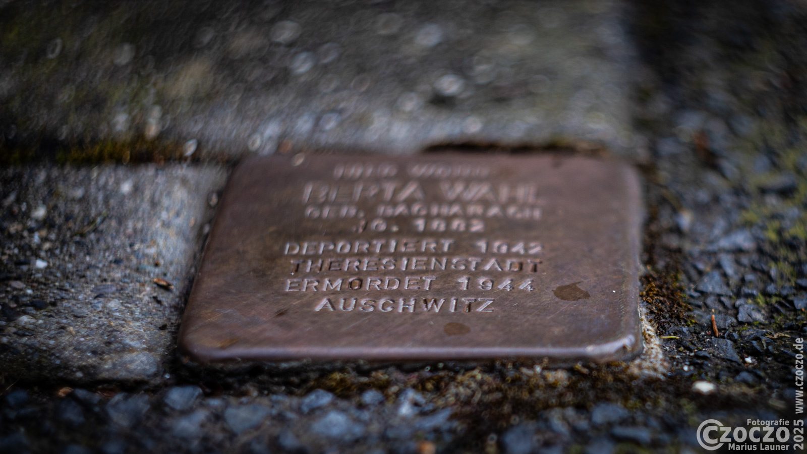 20250127-9A1A2543-Auschwitz-80Jahre.jpg