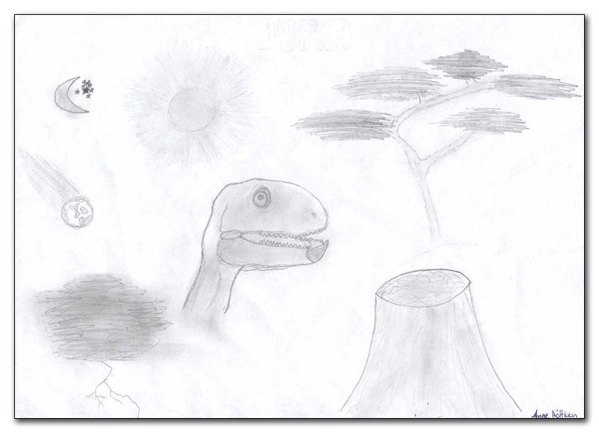 bild0079.jpg