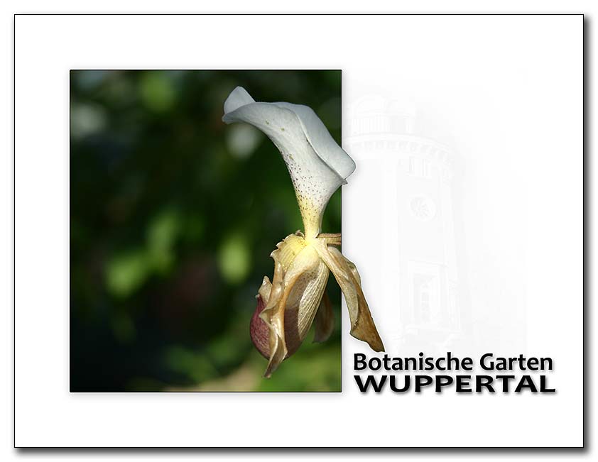 botanische-garten-wuppertal_0.jpg
