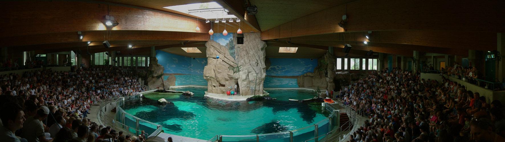 delfinarium.jpg
