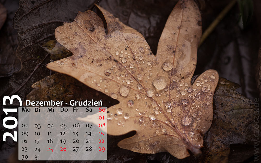 dezember_2.jpg