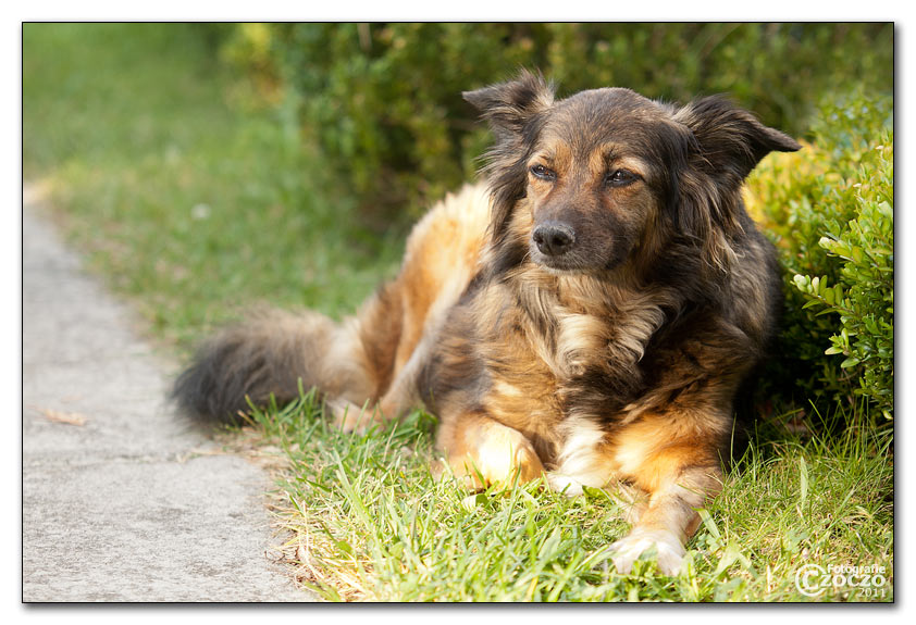 img_4299-kora.jpg