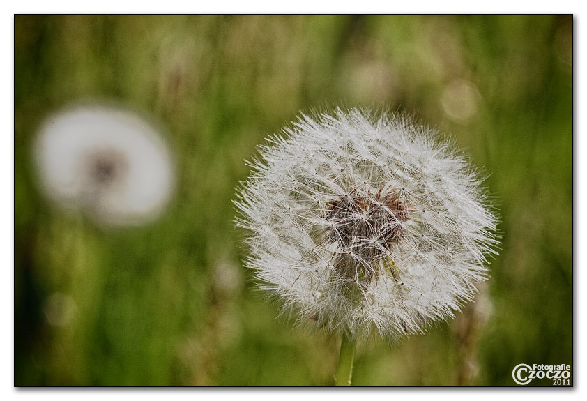 img_9963_hdr.jpg