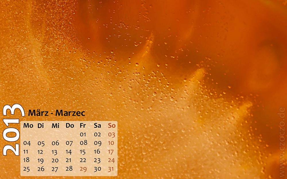 maerz-2013.jpg