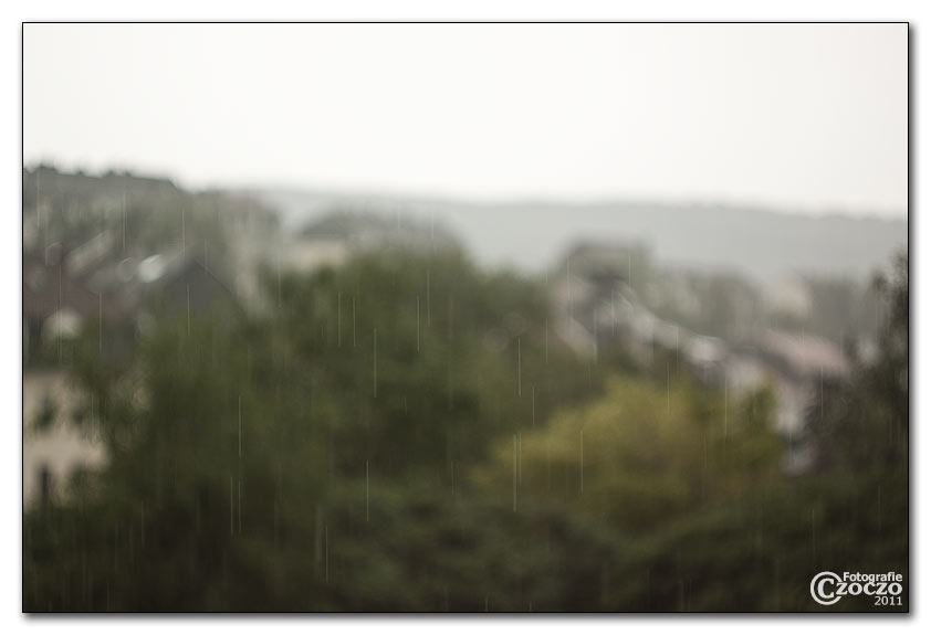 sommer-2011.jpg