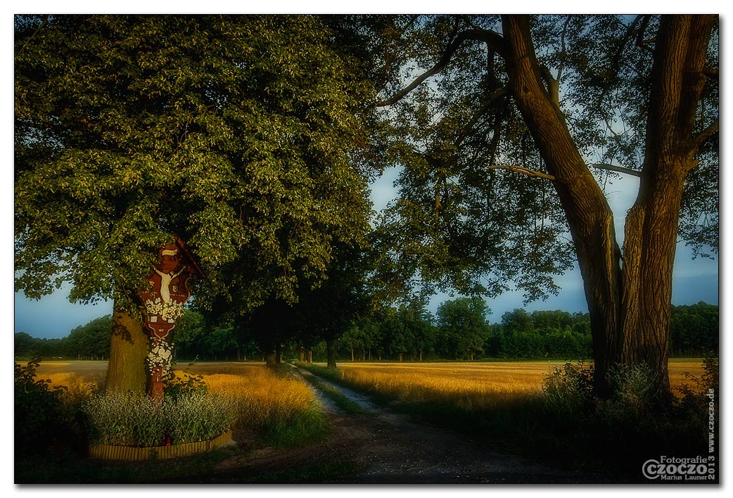 tulski-kreuz-2013-2.jpg
