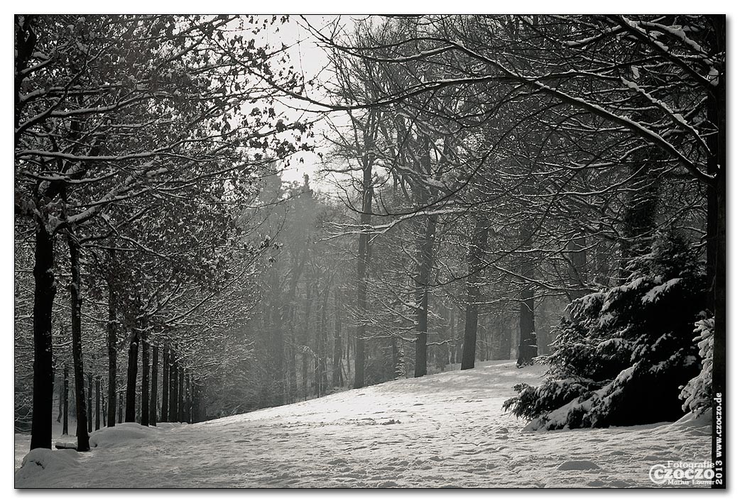 winter-einbruch.jpg