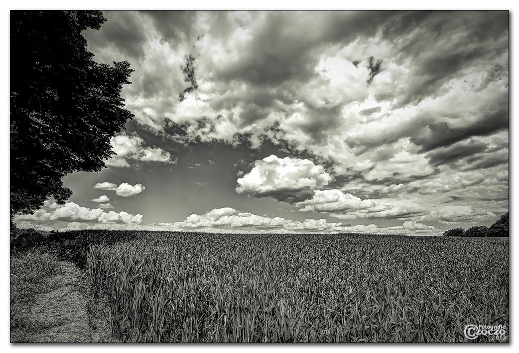 wolken.jpg