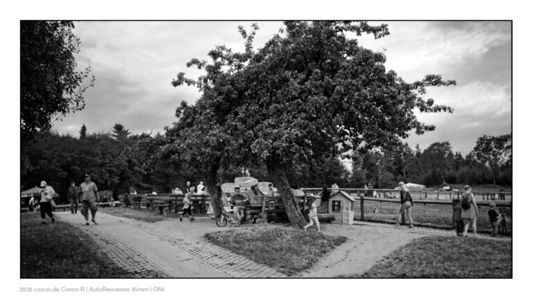 Bergerhof in BW