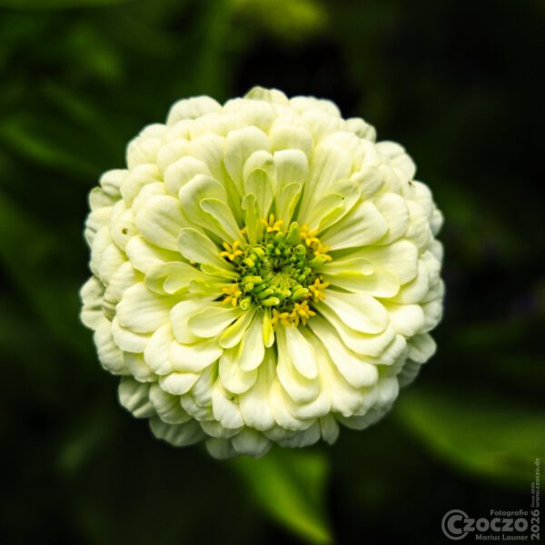 Nature Thursday 2026
