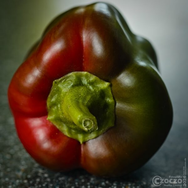 Nature Thursday 40